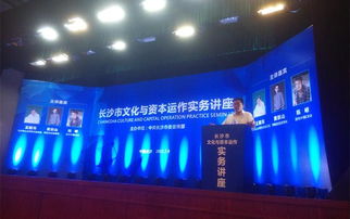 專家論道長沙 文化資本融合，借力新三板與互聯網共舞